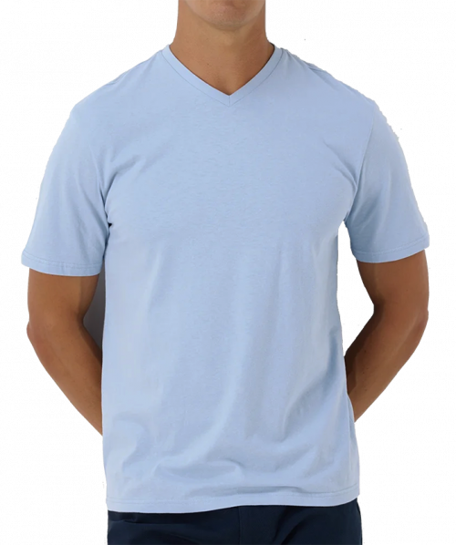 gildan heavy lite blue V neck T shirt